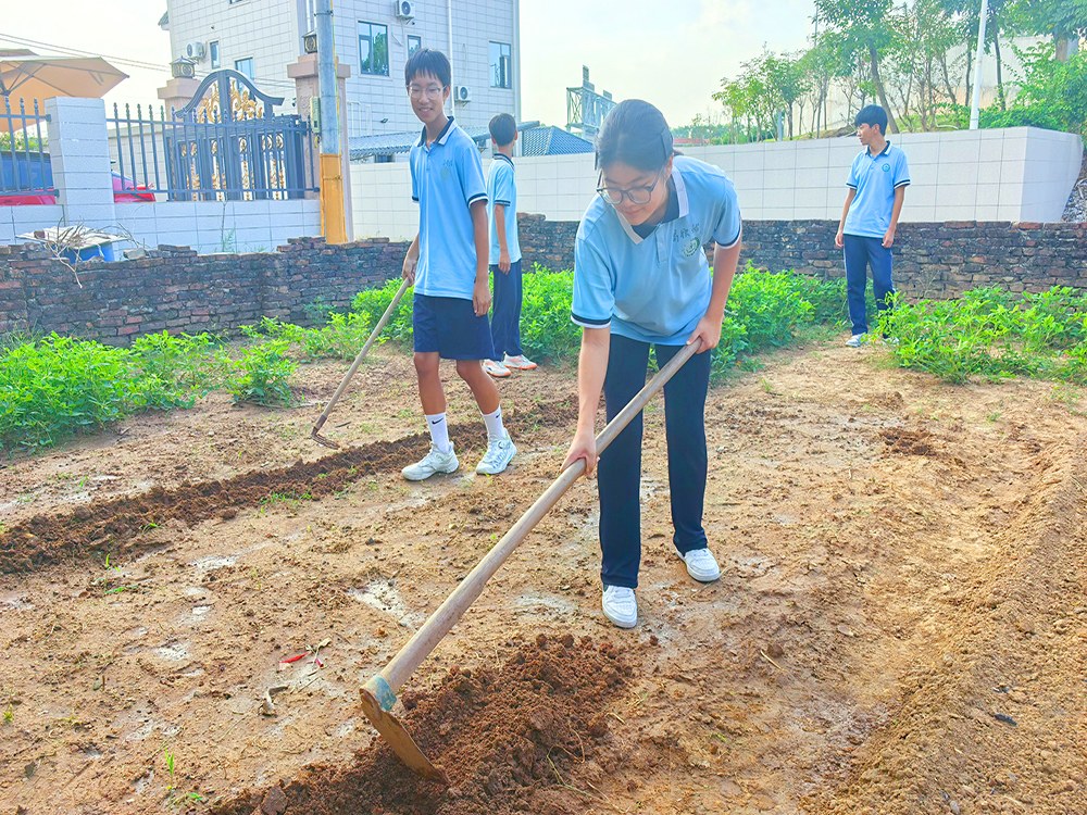 清远叛逆青少年专门教育学校联系方式与择校指南